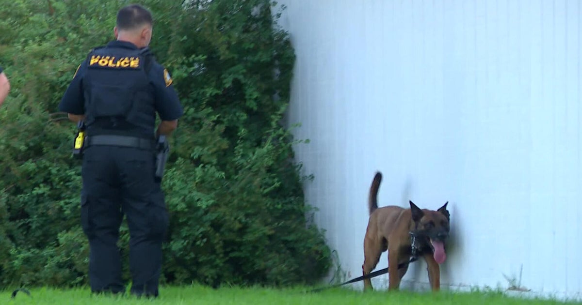 2 hurt, 1 in custody after shooting near Sun Ray Shopping Center 