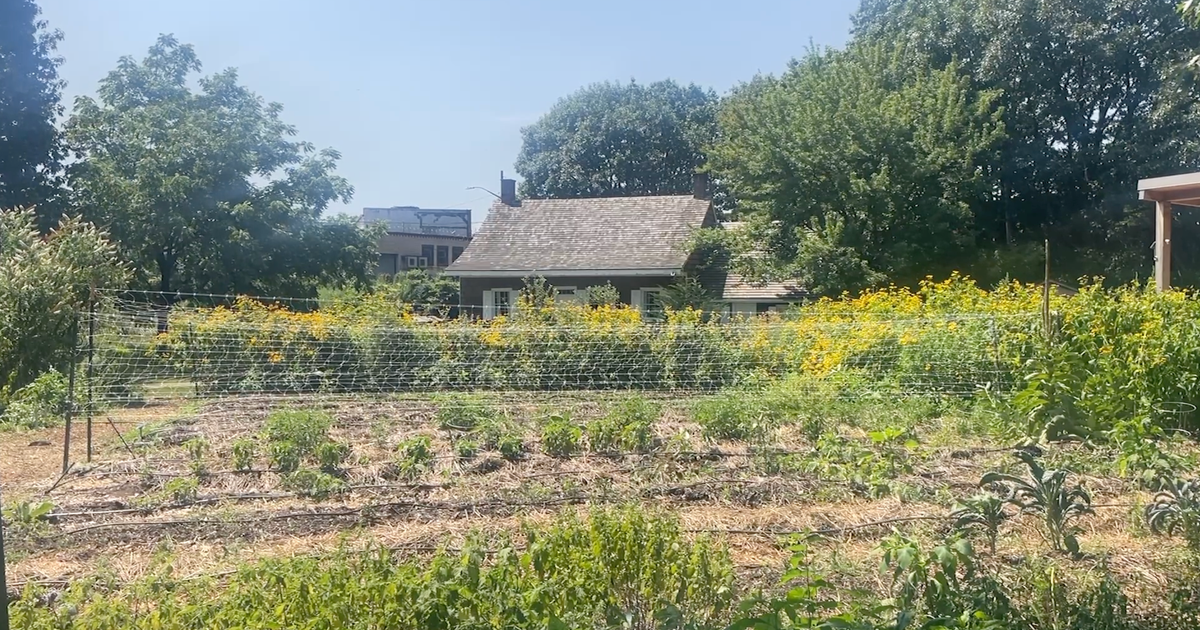 At Brooklyn's oldest house, teens are growing more than just food 