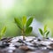 How much interest can a $10,000 high-yield savings account earn now?