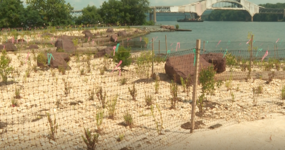 Water Street Living Shoreline aims to restore Havre De Grace waterfront 
