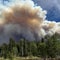 Wildfires are burning in at least two national parks. Here's what's fueling the intense flames.