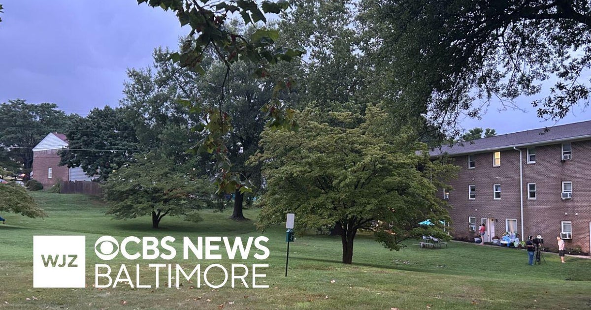 Boy Dies in Maryland Flooding; Safety Review Urged