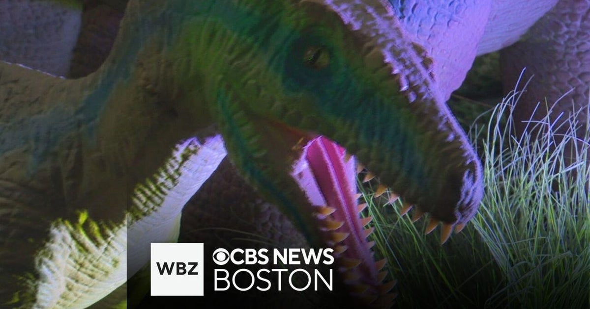 Dinosaur Adventure brings the prehistoric era back to life in ...