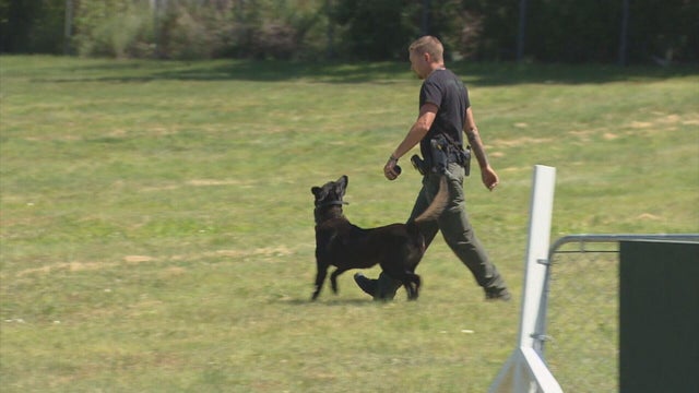 jeffco-k-9-attack-verdict-10pkg-transfer-frame-1919.jpg 