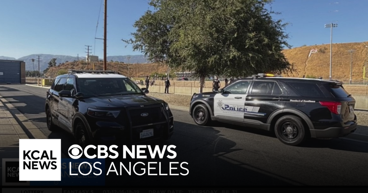 Woman dead after dog attack in San Bernardino - CBS Los Angeles