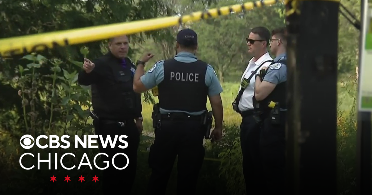 Body recovered from North Branch of Chicago River on NW Side, police ...