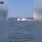 Whale dead, passenger sent flying off boat after collision in Barnegat Bay, NJ, officials say