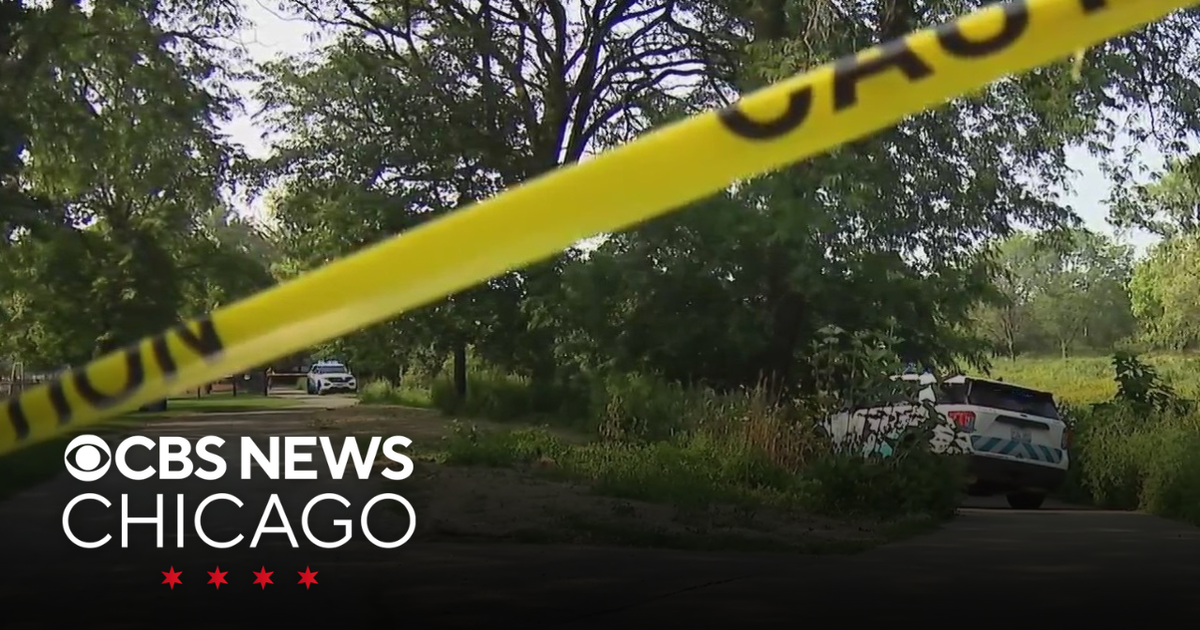 Body recovered in North Branch of Chicago River - CBS Chicago
