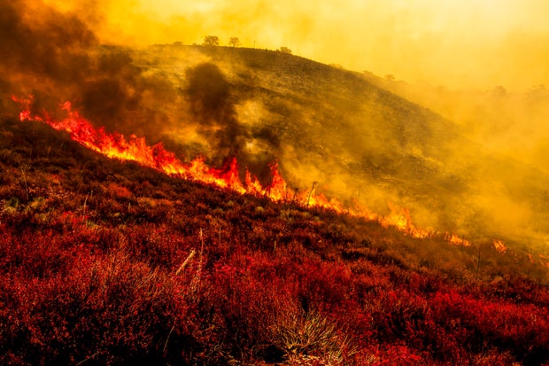 Wildfire-Rages-Through-Los-Padres-Forest 