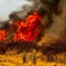 California's Gifford Fire burns more than 40,000 acres
