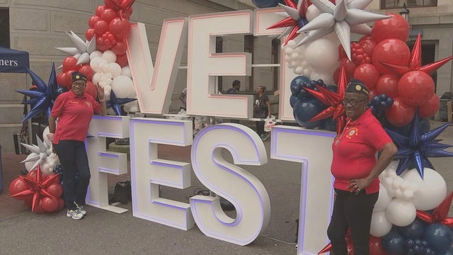 16pkg-ea-vet-fest-transfer-frame-2616.jpg 