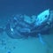 Titan submersible disaster was preventable, Coast Guard report says