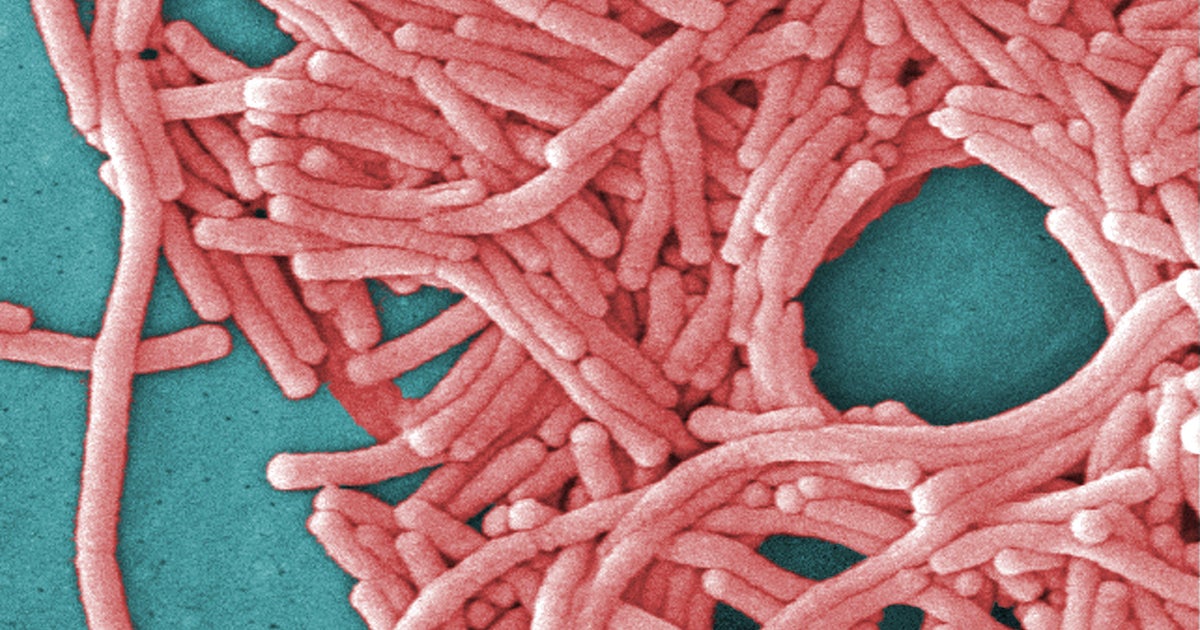 Legionnaires' disease outbreak in Harlem leads to 2nd death 