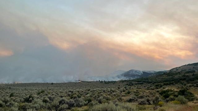 elk-fire.jpg 