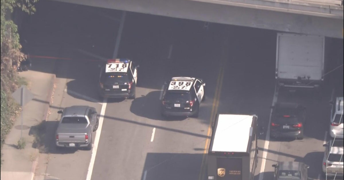 Police detain 4 people after deadly hit-and-run crash in West LA 