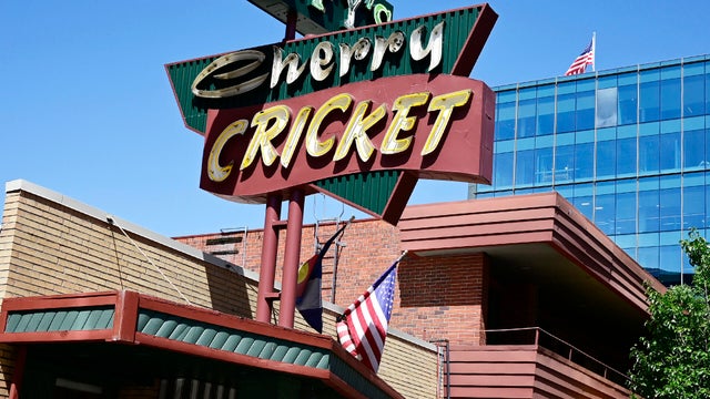 Cherry Cricket 