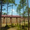 Active shooter incident at Fort Stewart in Georgia, officials say