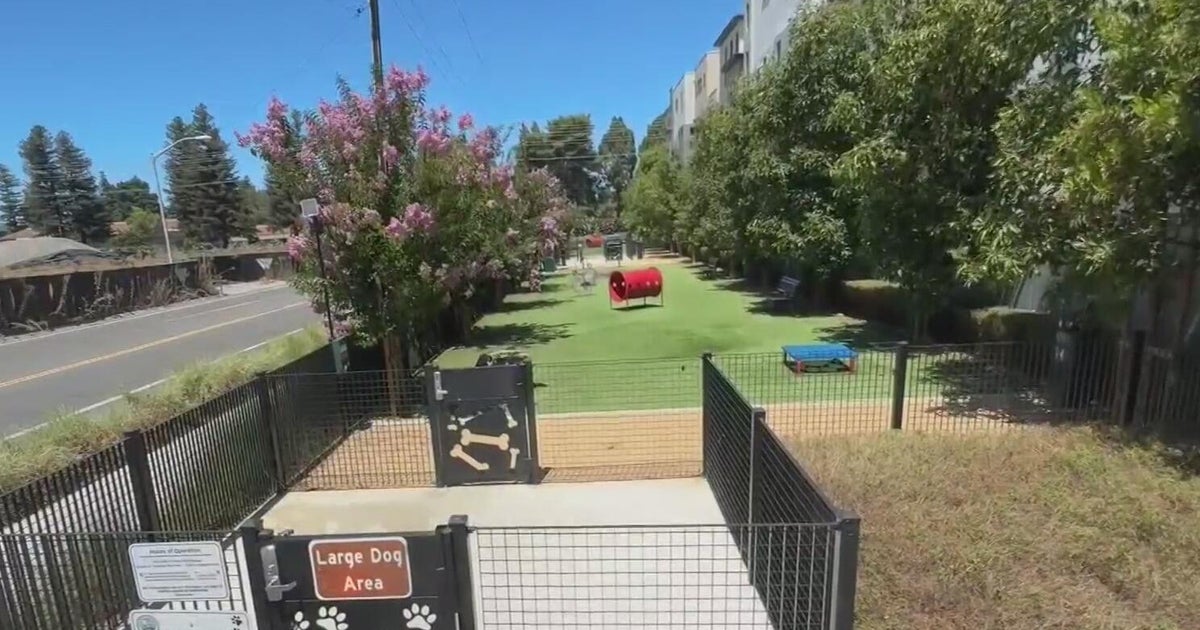 Santa Clara dog park closed after dog death, multiple illness reports 