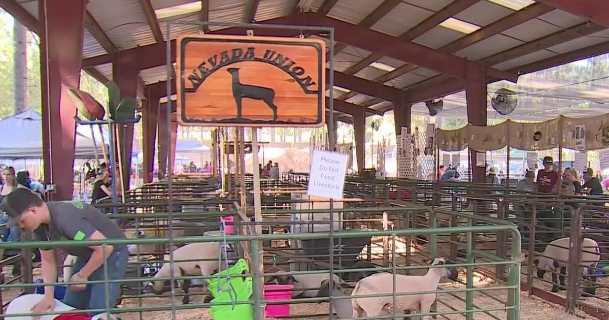 Bird flu cancels poultry show at Nevada County Fair 