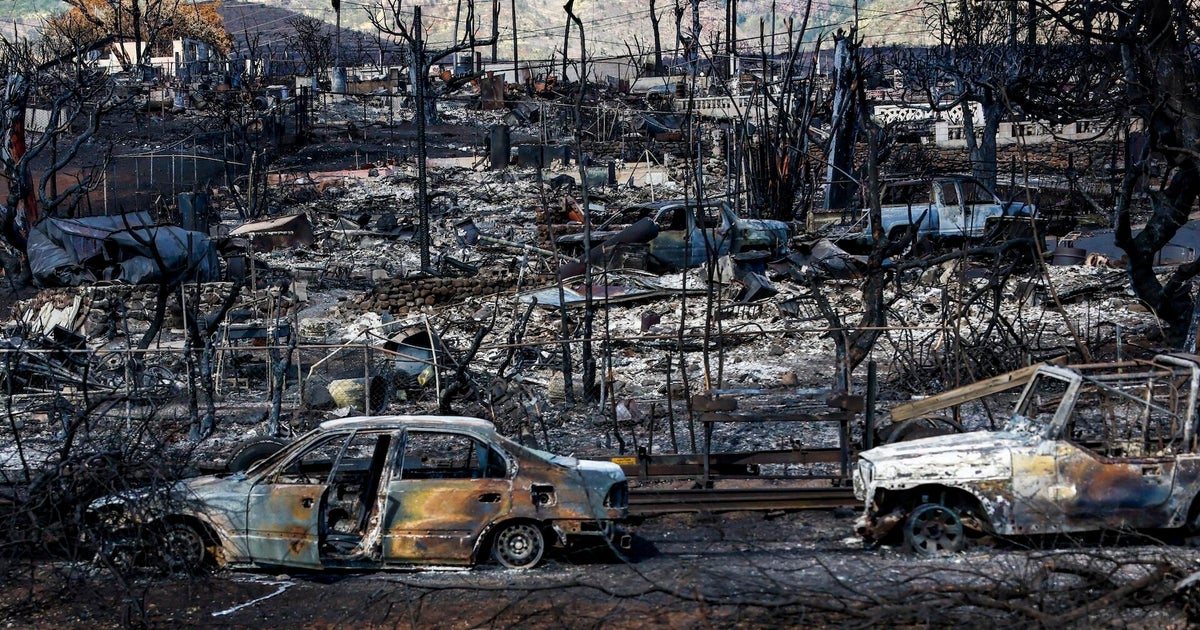 Maui wildfire victims show long-term physical, mental health effects, research shows