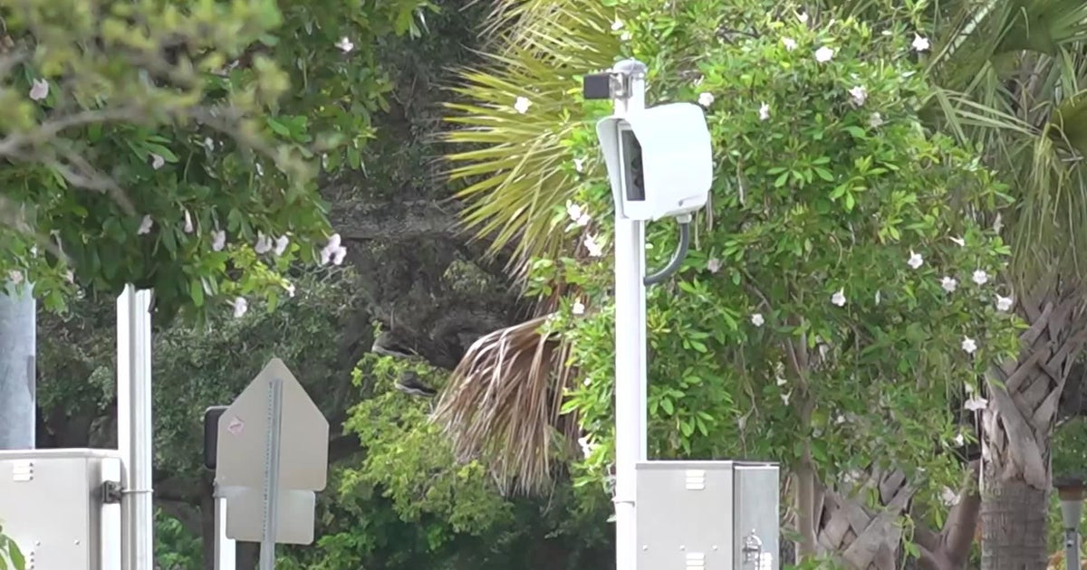 Doral, Hollywood add school zone speed cameras ahead of new school year