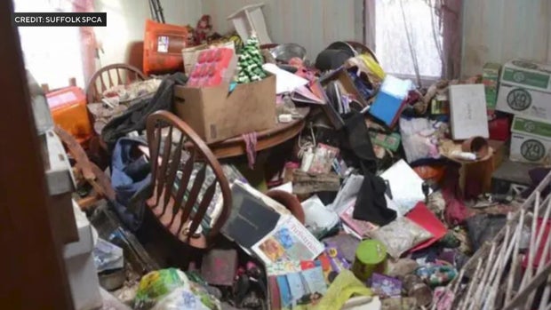 A room covered in trash and various items. The floor is not visible because of the amount of items in the room. 