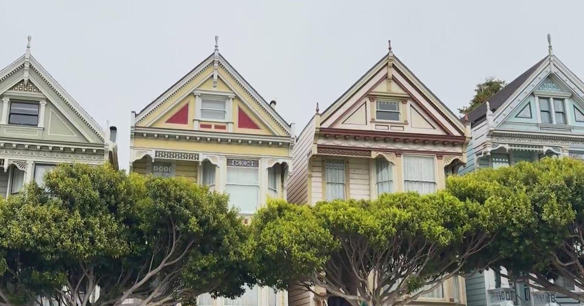 One of San Francisco's "Painted Ladies" open as museum for fnnch's honey bear art 