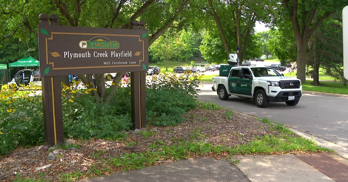 Plymouth to monitor tree health using AI 