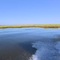 Louisiana scraps coastal erosion project designed to rebuild wetlands