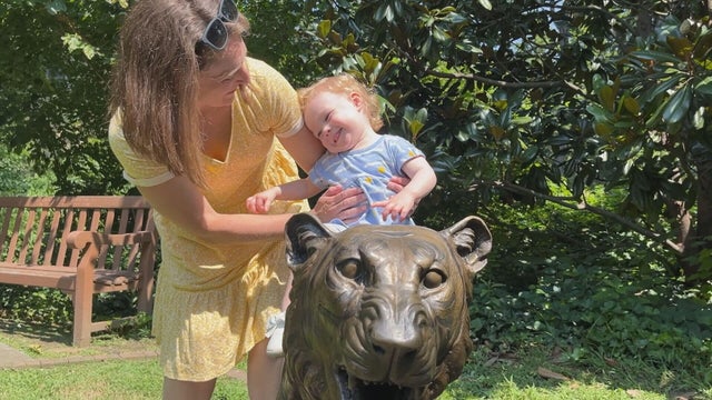 lutz-raw-haddonfield-sculpture-zoo-frame-1954.jpg 