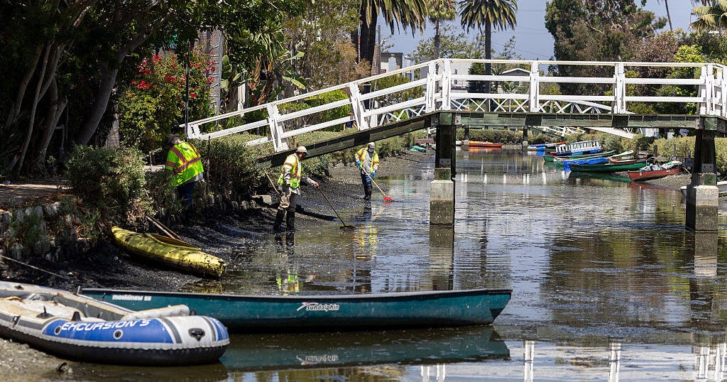Venice dog deaths prompt public health warnings for canal waters 