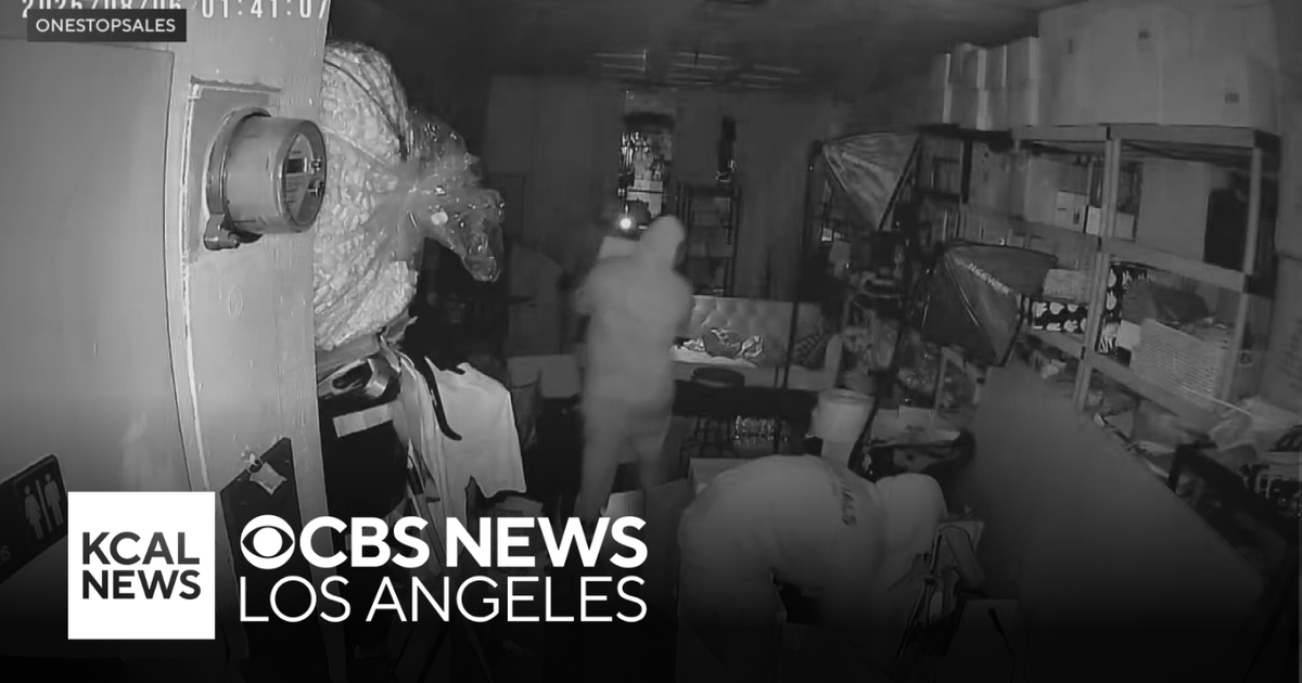 Labubu Doll Heist Hits California Collectible Store