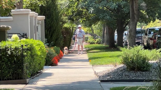 neighborhood.jpg 