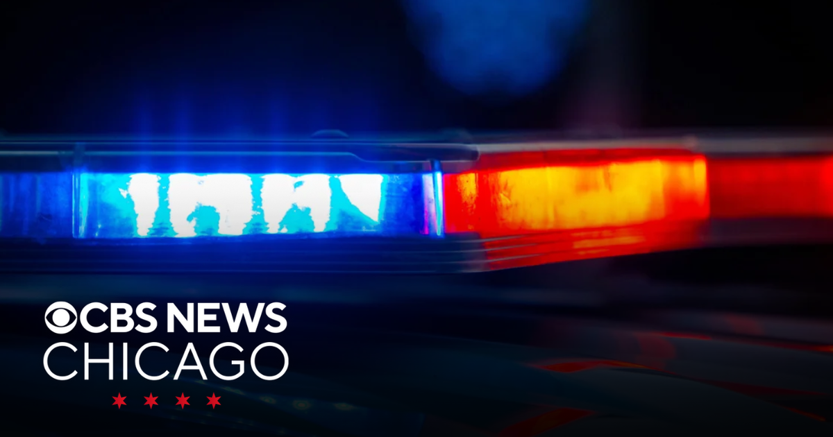 Surveillance Suggests Intent in Gage Park Hit-and-Run