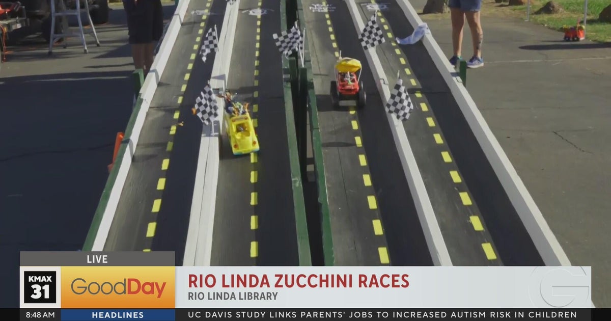 What do you do with those overgrown zucchinis? Race them of course! 8am ...