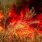 Largest California wildfire of 2025 reaches "mega fire" status