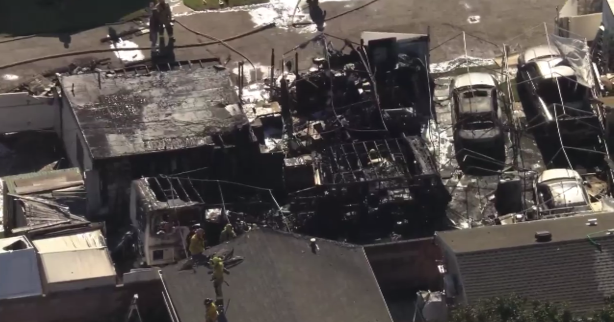 At least four dogs killed in destructive Temple City house fire 