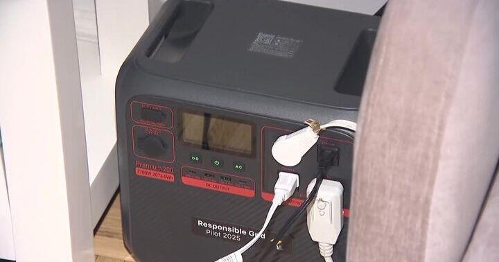 N.Y. company pilot program uses batteries to reduce stress on power grid 