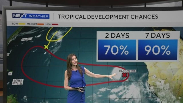 tropics-1.jpg 