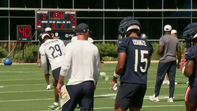 bears-practice.png 