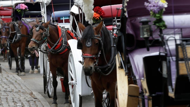 Horses and carriages wait for customers on Oct. 23, 2013, near Central Park in New York. 
