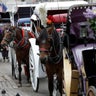 New York City Mayor Eric Adams calls for ban on carriage horses 