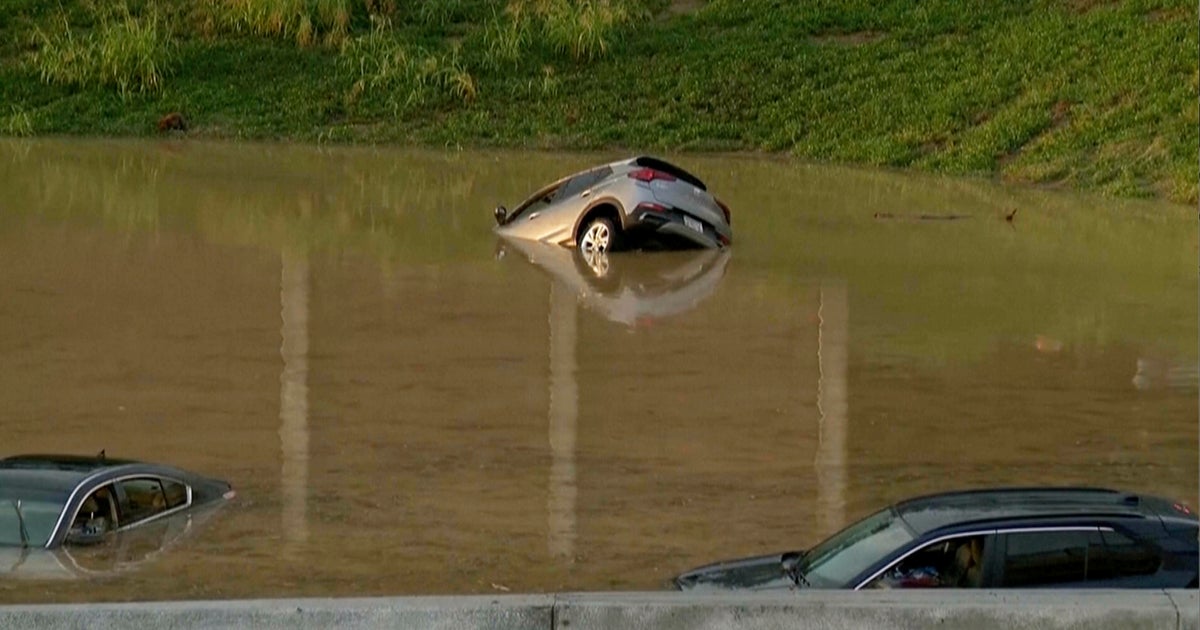 Falling tree kills parents and child in car as Chattanooga flooding prompts dozens of water rescues Falling tree kills parents and child in car as Chattanooga flooding prompts dozens of water rescues
