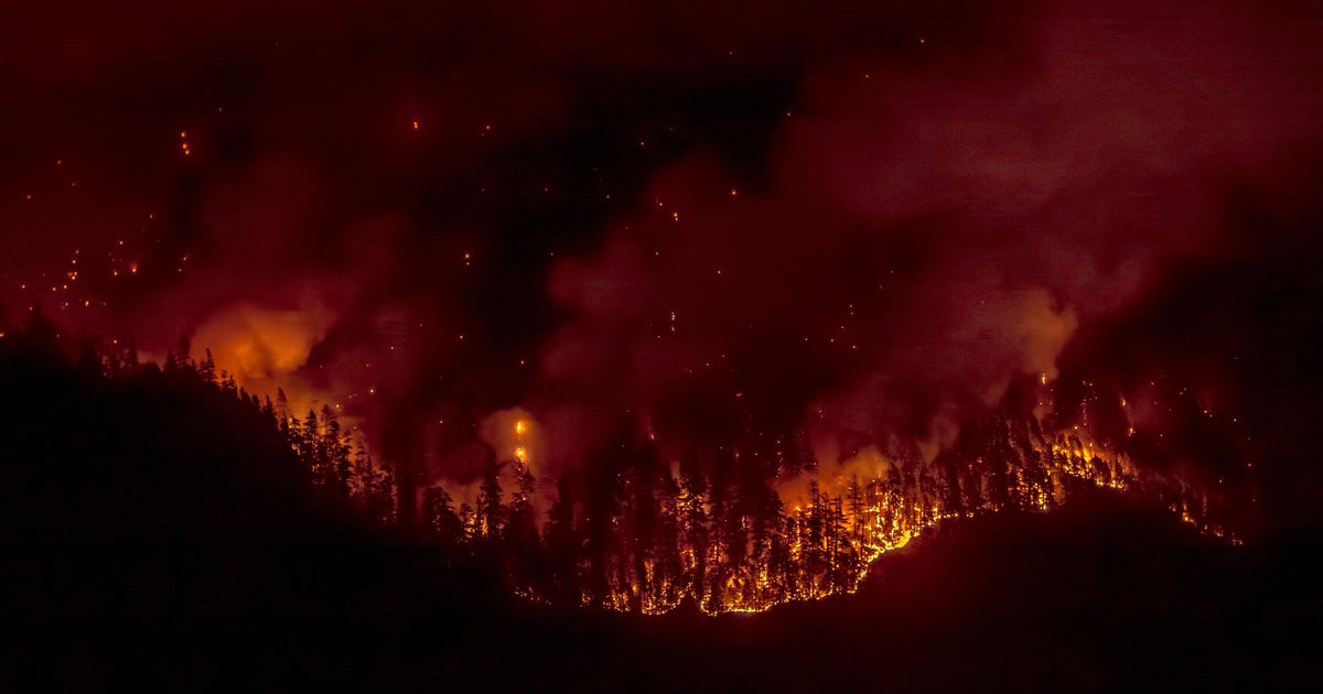 Minnesota firefighters return from battling wildfires in Canada 