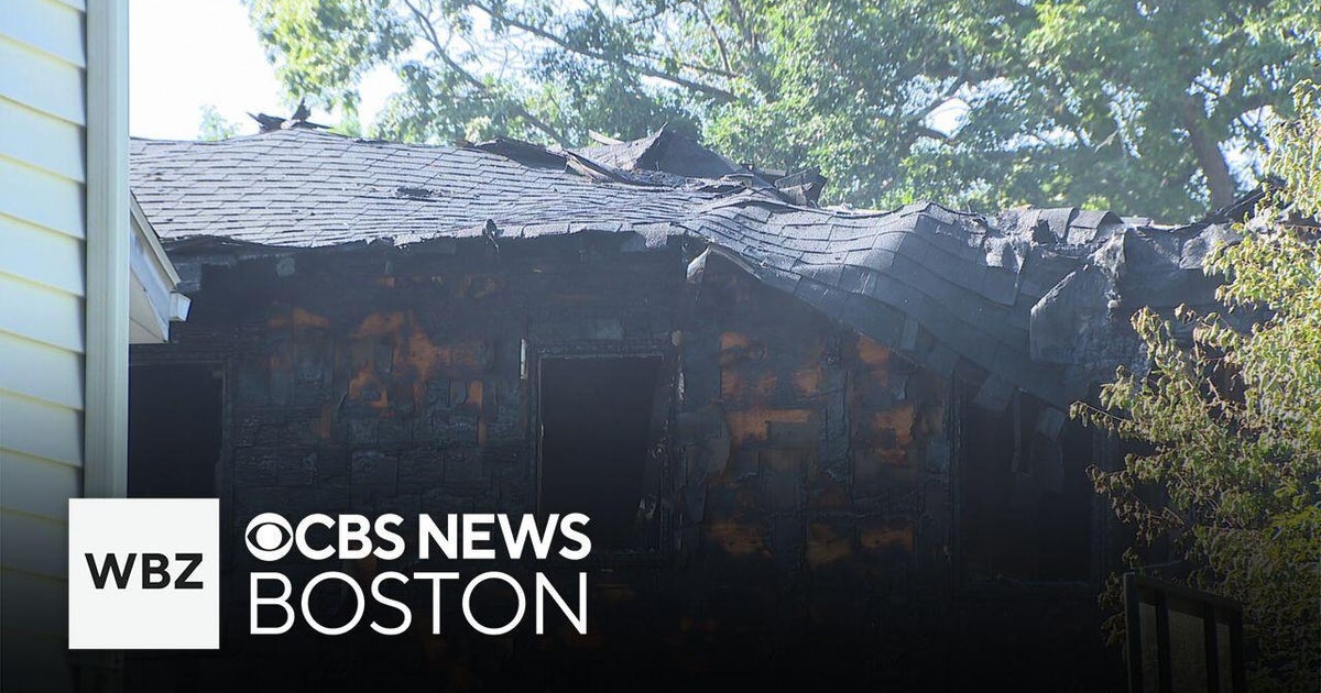 Family loses pet bird and dog in Medford house fire - CBS Boston