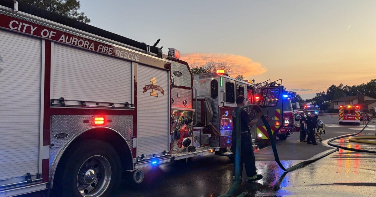 Accidental Aurora house fire displaces 5 adults, 4 dogs, and a turtle 