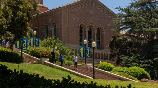 UCLA scenes 