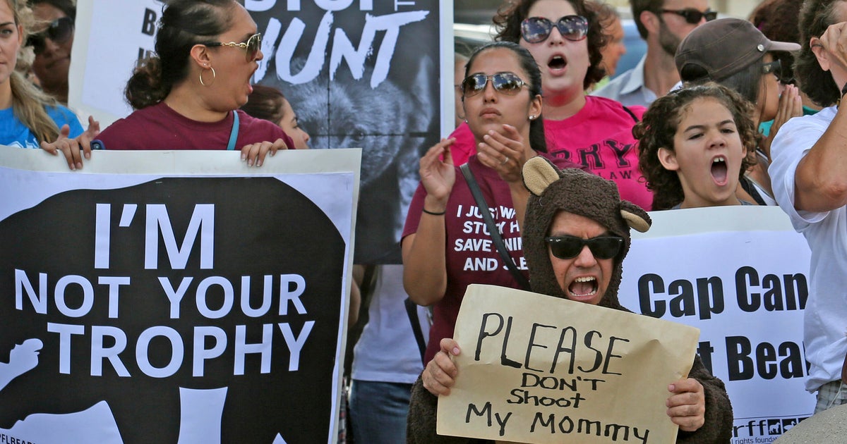 Florida’s first black bear hunt in a decade approved despite strong opposition