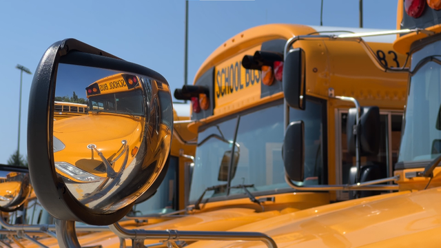 bus-2.png 