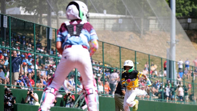 llws.jpg 